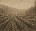 Thumbnail for version as of 07:33, 28 July 2025