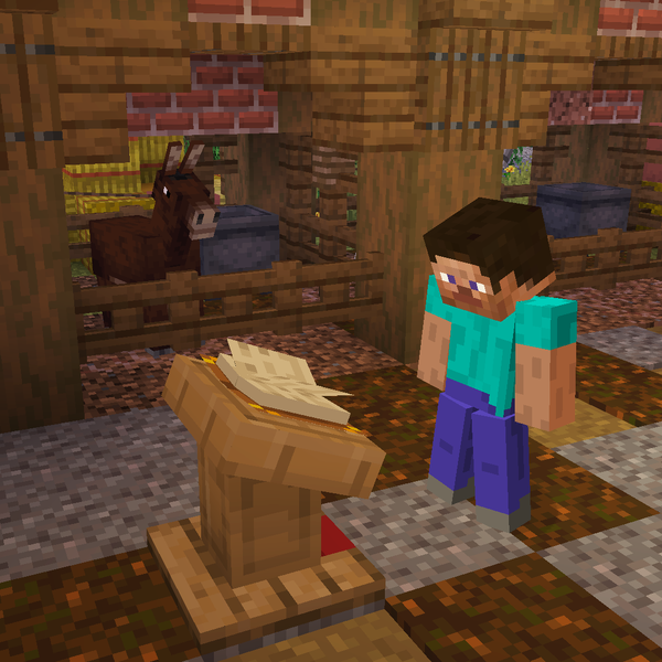File:Player reading a guide book.png