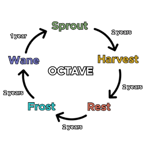 Octave scheme.png